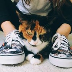 coollikegrace