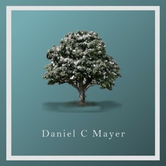 Daniel C Mayer