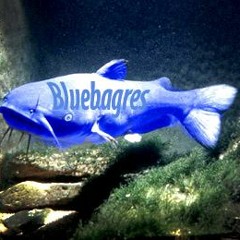 Bluebagres