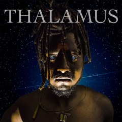 iD Vicious 'Thalamus'