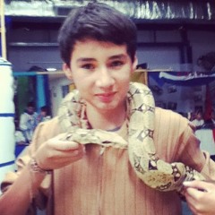 Javier Hernandez 433