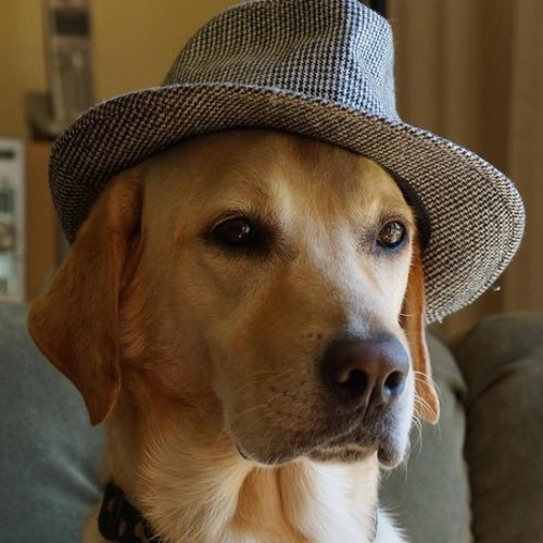 Final - A Cross The Universe