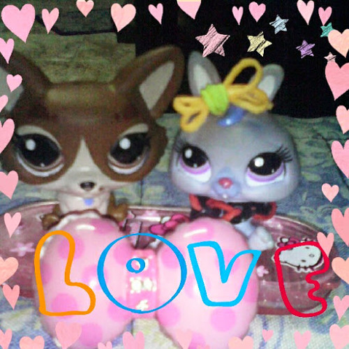 lps lover11’s avatar