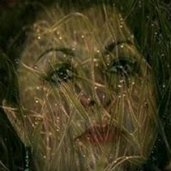 Roberta Kalin Pejić