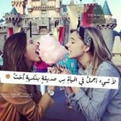 Yara Amr 19