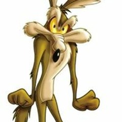 Coyoten Gegen Hühner