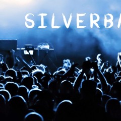 the-silverback.com