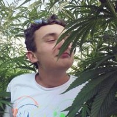 Jarmyl