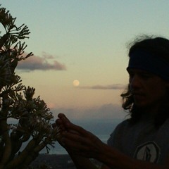 Benamer a.k.a Pablo Placeres