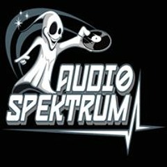 Audio Spektrum