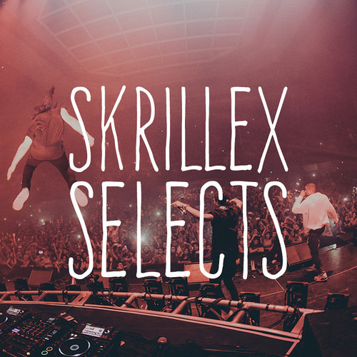 Skrillex Selects’s avatar