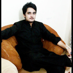 waqar bhutto