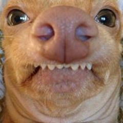 Natanael Arruda Santos