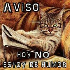 user900909618