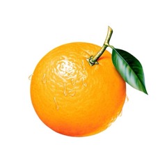 One North Orange