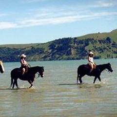 Sherri-Anna Fairbrass