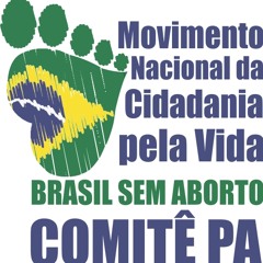 Brasil Sem Aborto - Pará