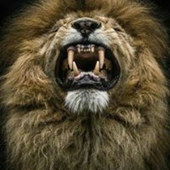 Michael Jordan 'Loyalty'