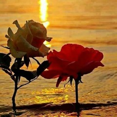 وطن له عشق القلوب