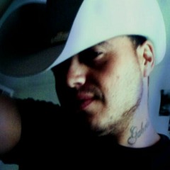 user363526137