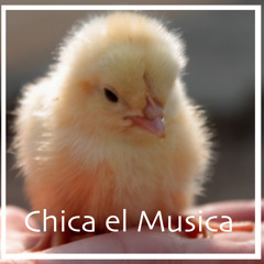 Chica El Musica