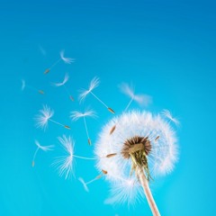 Marie-Christine Rousseau