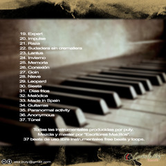 PULY ESCRITORESMALDITOS