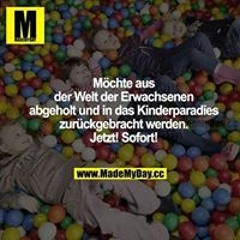 Schufy Hakkt ImTakt