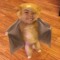 Jason Tran 25