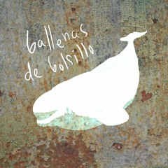 Ballenas de bolsillo