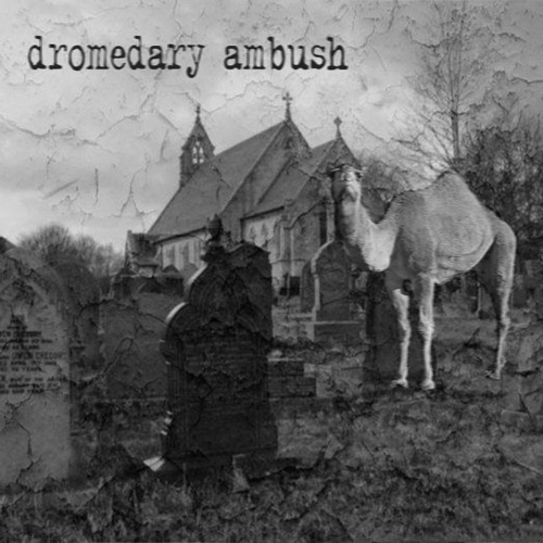 Dromedary Ambush’s avatar