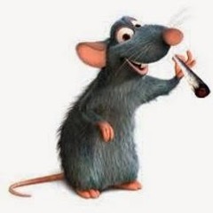 Rottah Randomi