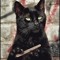 Salem 5
