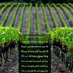 قسامي اتقدم ,, فرقة الإباء الفنية (1)