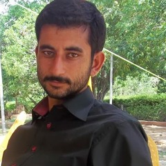 Ahmed Ali akbar