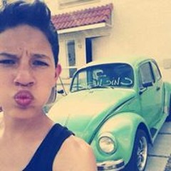 Diego Mendoza Hernandez