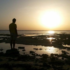 Mohamed Medhat Mohamed