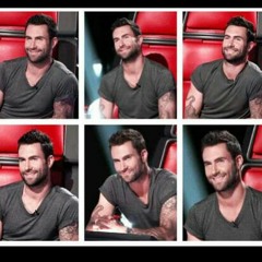levine88