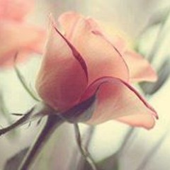 Ahmed Elagamy