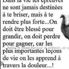 Dave Brown Lafortune