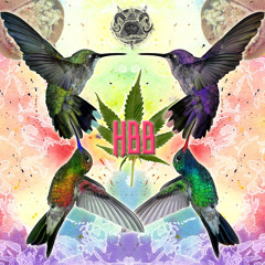 HummingBirdBoyz