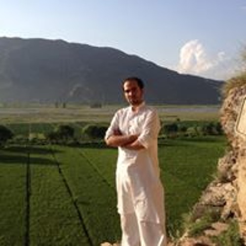 Sajjad Hussain Changezi’s avatar