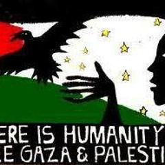 Pádraig Mac Maghnuis