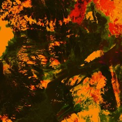 •Ÿann ▄ █ ▄