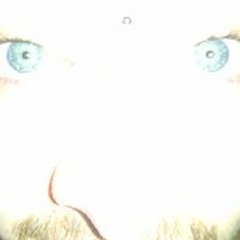 Dylan LuvahBoi Roybal