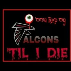 falcons-3