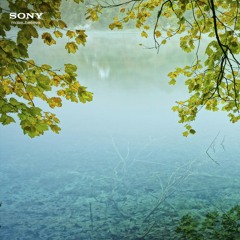 Ek_Din_Fursat-Sunidhi_Chauhan[www.Mp3MaD.Com].mp3