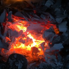 Twisted & Shallow Roots