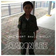 Aaron Lee Qian He