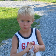 Marsico_15